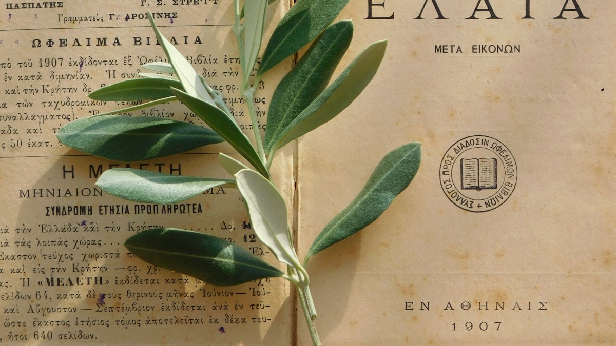 Διατροφή και Ευεξία: Οδηγός για Υγιεινές Συνήθειες